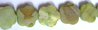 12mm Shell Flowers - Green (+/- 10 pieces)